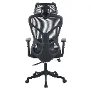 WhatsApp Image 2024-10-17 at 1.05.43 PM.webp